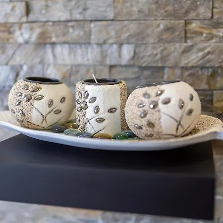 Binis Apartamento Zlatibor