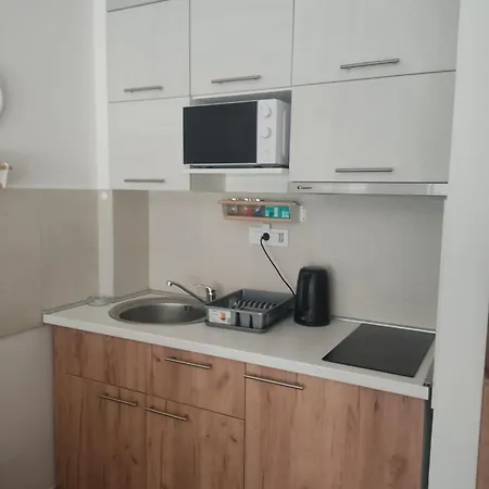 Binis Apartment Zlatibor